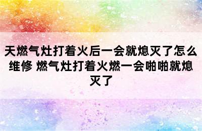 天燃气灶打着火后一会就熄灭了怎么维修 燃气灶打着火燃一会啪啪就熄灭了